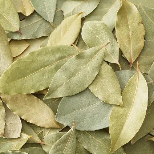 Bayleaf